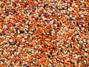 Fishing seed mix 7 seeds for sale, including postal delivery