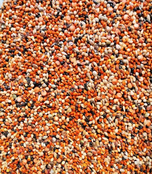 Fishing seed mix 7 seeds for sale, including postal delivery