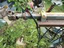 Grapevine stump grubber, duck grubber