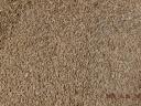 Food wheat for sale - 2024 crop