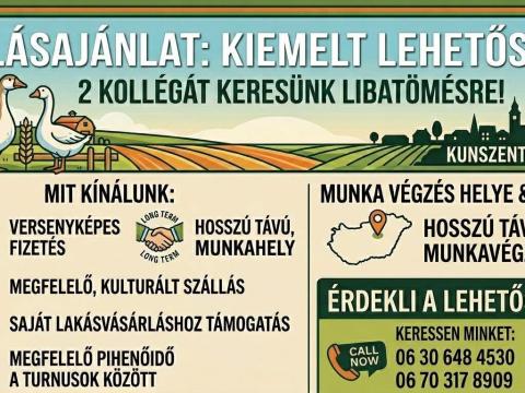 Liba tömés
