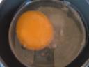 Nandu eggs available