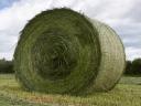 Alfalfa Rundballen zu verkaufen (Luzerne Rundballen, Heu, Futterballen, Hoden)
