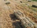 Male bale sena na prodaǰu