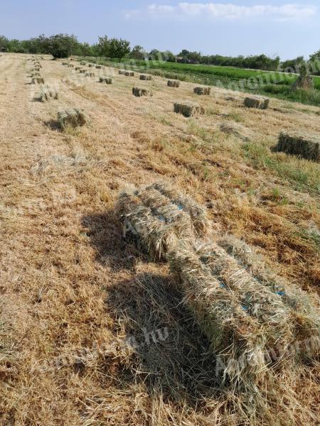 Male bale sena na prodaǰu
