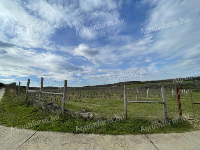 Vinograd za prodajo v vinorodni deželi Szekszárd