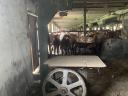 Band saw with longitudinal cutting table