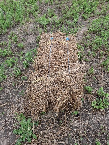 Lucerna small cube bale