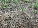 Lucerna small cube bale