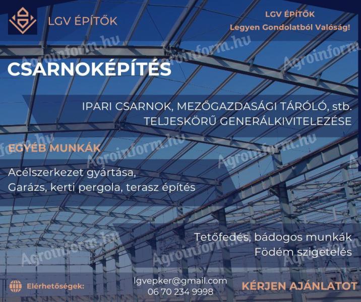 Construction of halls, steel structures, construction