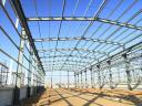 Construction of halls, steel structures, construction