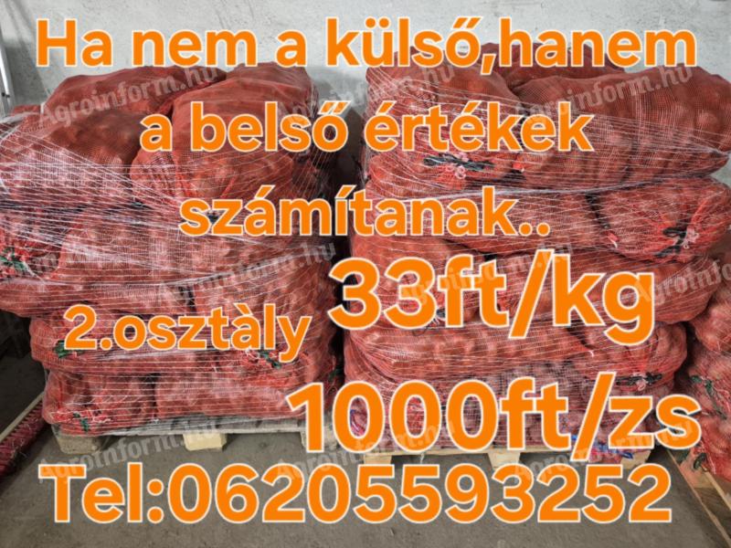 Brambory
