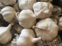 Grüner gehackter Knoblauch