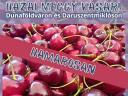 Târguri în Daruszentmiklós și Dunaföldvár în curând