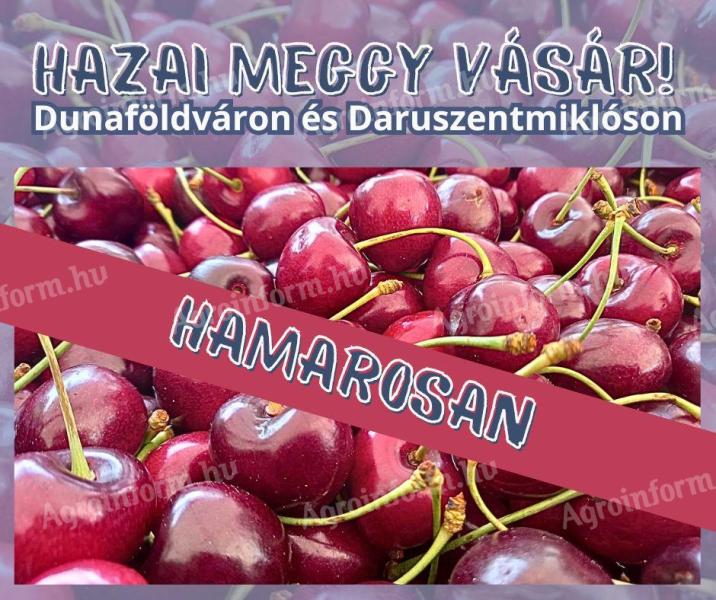 Târguri în Daruszentmiklós și Dunaföldvár în curând