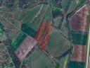 Kiskundorojsma, 5,8 ha Wiesenweide - mit Unterstützung