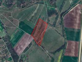 Kiskundorozsma, 5,8 ha rét legelő - támogatással