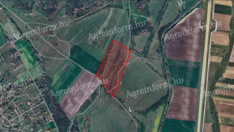 Kiskundorojsma, 5,8 ha Wiesenweide - mit Unterstützung
