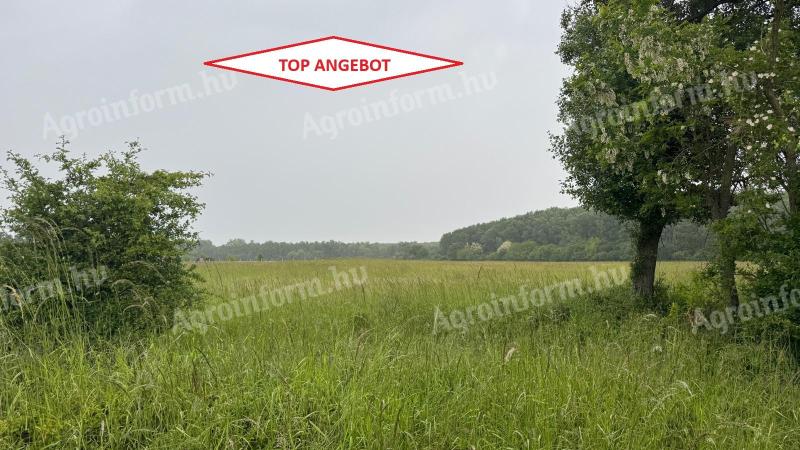 Med Vitnyédom in Hövejem, ob gozdu, 962 m² zemljišča za prodajo