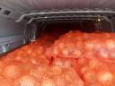Onions