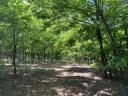 Bauernhof, Wald, Obstgarten zu verkaufen