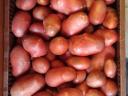 New potatoes