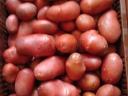 New potatoes