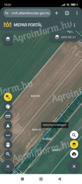 Ackerland am Stadtrand von Zsámbék zu verkaufen