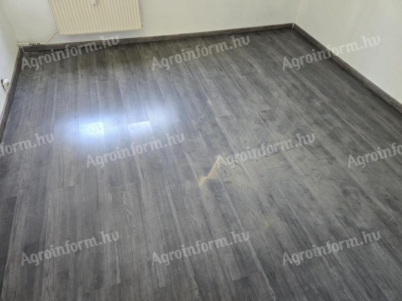 Delam čisto slikarstvo in laminatne talne obloge