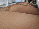 Red millet
