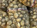 I sell potatoes in wholesale quantities