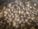 I sell potatoes in wholesale quantities