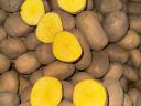 I sell potatoes in wholesale quantities