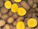 I sell potatoes in wholesale quantities