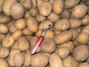 I sell potatoes in wholesale quantities