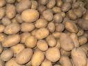I sell potatoes in wholesale quantities