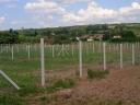 Fence construction: wire mesh, NATO mesh, wire netting, wild netting