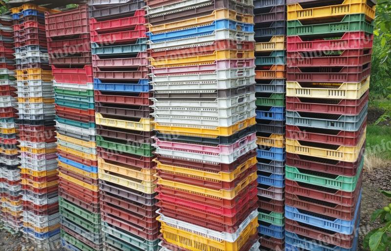 Plastic crates from 300 Ft/piece - Big batches in Csornán (M5, M10, EV13, EV23, IFCO compartments)