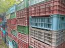 Plastic crates from 300 Ft/piece - Big batches in Csornán (M5, M10, EV13, EV23, IFCO compartments)