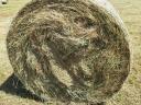 Lawn hay for sale