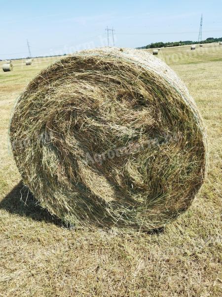 Lawn hay for sale