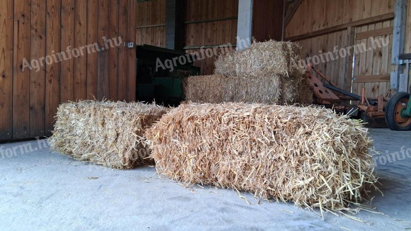 Eating straw, hay in small cubes