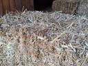 Eating straw, hay in small cubes
