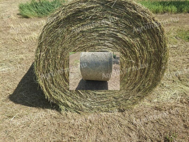 Lucerne hay for sale