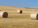 Straw bale