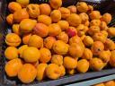 Apricots available