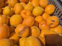 Apricots available