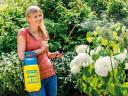 Gloria - Prima 3 pressure sprayer