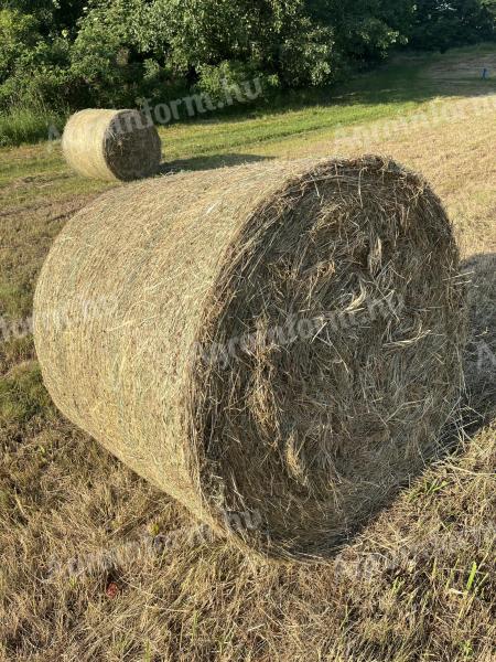 Gatti hay bale