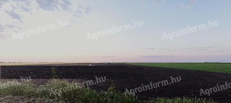 Prodaje se 8 hektara obradive zemlje u Nagyéru